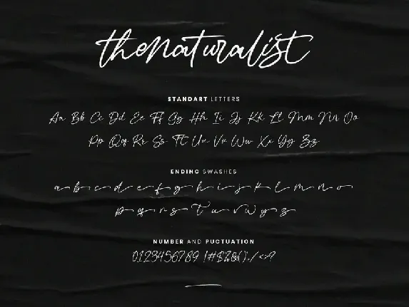 Thenaturalist Caligraphy Wedding Font