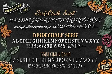 BrideChalk Typeface ( 3 FONT + EXTRAS)