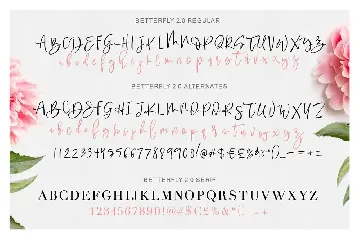 BetterFly 2 - Dynamic Font Duo