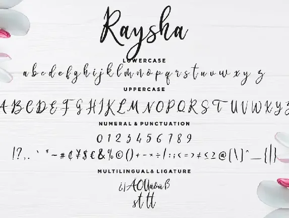 Raysha Signature Wedding Font