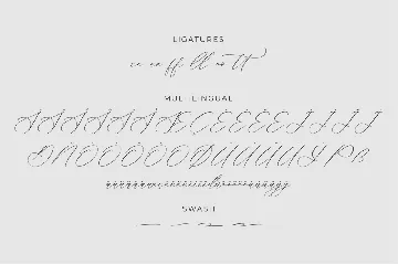 Liontinela Realise Chic Calligraphy Font