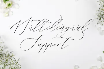 Liontinela Realise Chic Calligraphy Font