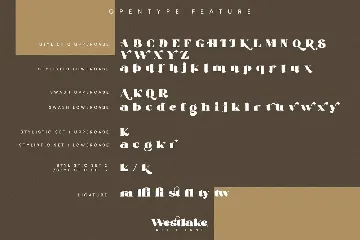 Westlake-Serif Font