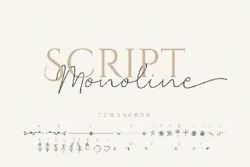 Clandia Monoline Script & Ornaments font