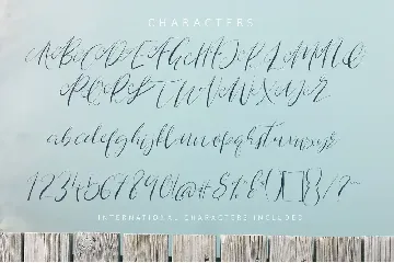 Route Nine Script Font