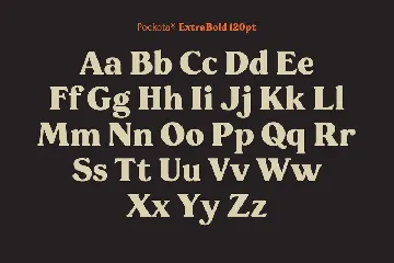 Pockota  |  Retro Display Serif Family font