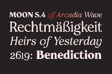 Pockota  |  Retro Display Serif Family font