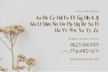 Molgak Classy - Wedding Font