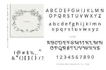 Studio Baked Font Collection