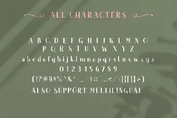 Akserant Display Font