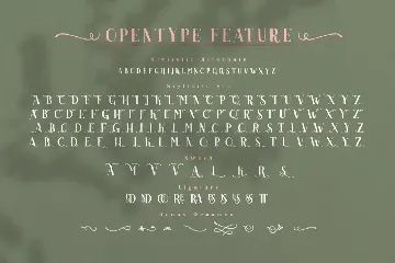 Akserant Display Font