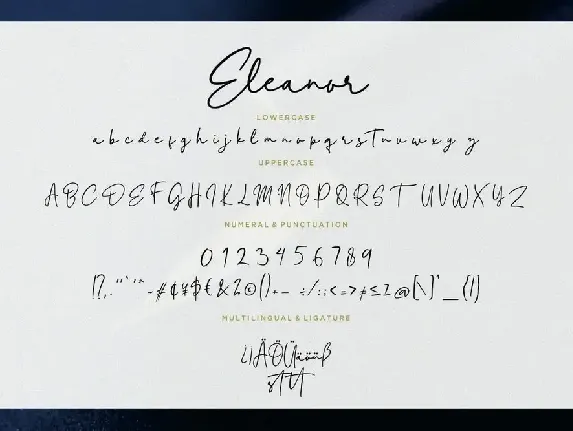 Eleanor Handwritten Wedding Font