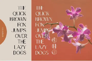 Drakors elegant font