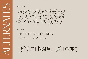 Drakors elegant font