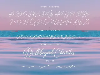 Tropical Harmony Script Font