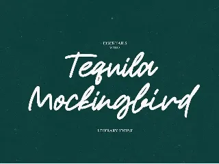 Roderick | Monoline Font