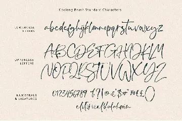 Cocleng Handwriting Fonts