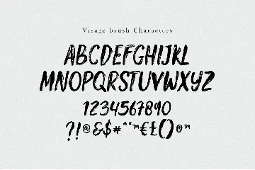 Visage Brush Fonts