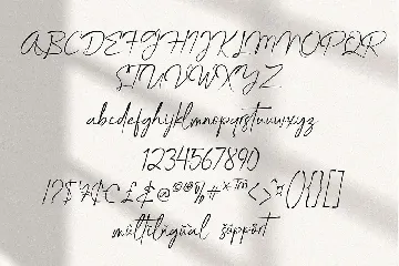 Birthday Wishlist Signature font