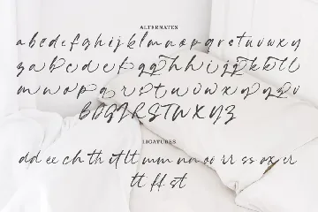 Gracelynn Signature Script font