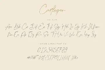 Castlegar Luxury Script font