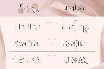 Dafiela Font