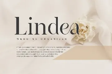 Modern Bold Luxury Display Sans Serif Font RDN