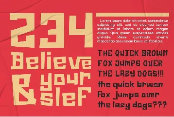 The Distriction - Unique Display Font