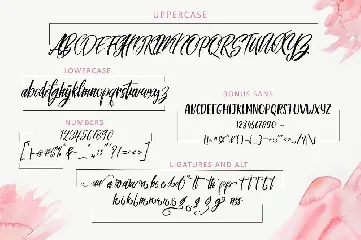 Raselina Font Duo