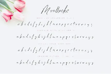 Monttocks Script Font