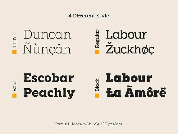 Pamuci - Modern Slab Serif Typeface font