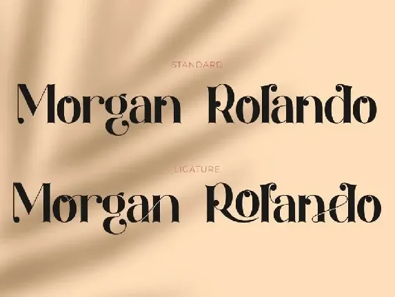 Okeffe - Ligature Serif Font