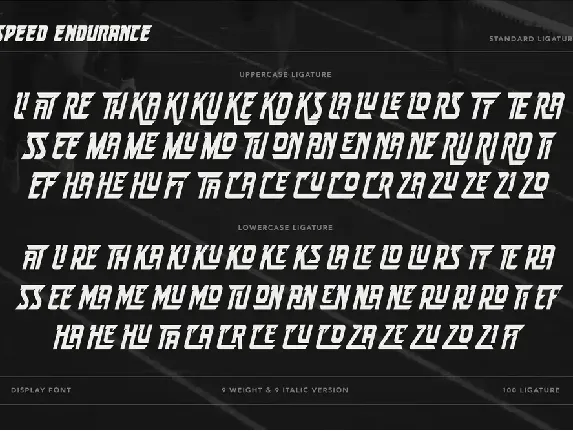 Speed Endurance font