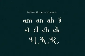 Rattagan - Display Serif Font