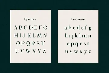 Rattagan - Display Serif Font