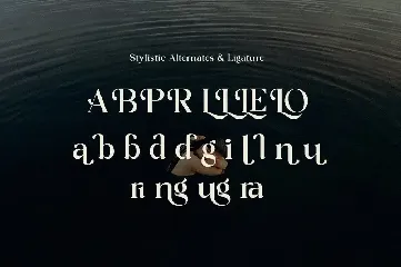 Lostangen - Elegant Classy Display Serif font