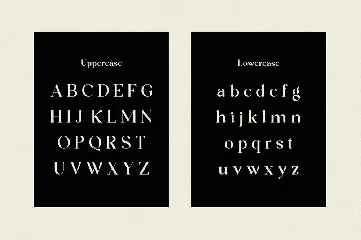 Lostangen - Elegant Classy Display Serif font