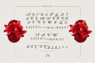 Vaclice Script Font