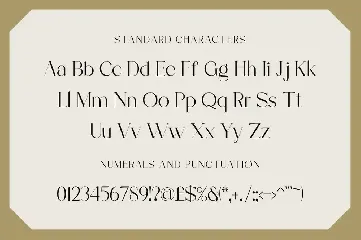 Workofart - Elegant Serif Font