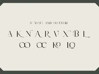 Workofart - Elegant Serif Font