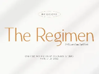 The Regimen - Business Font