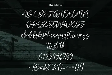 Montosal Signature Script Font