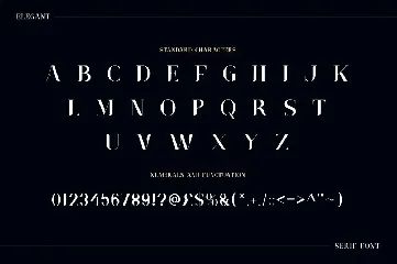 Grimoire - Elegant Fashion Font