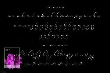 Bulvaryante - Romantic Calligraphy Font