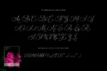 Bulvaryante - Romantic Calligraphy Font