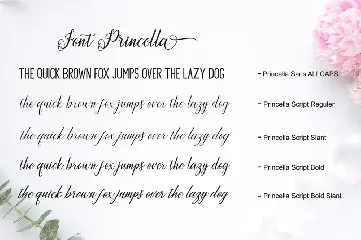 Princella Script font