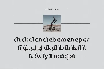 Glirock || Modern Ligature Serif font