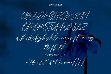 Owlishly Signature Script Font