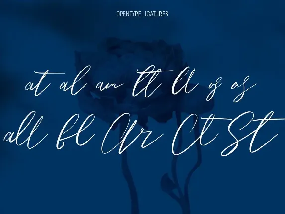 Owlishly Signature Script Font