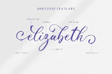 Wonderful Calligraphy font